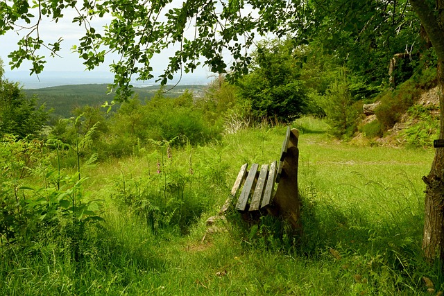 执行上所面 执行上所面