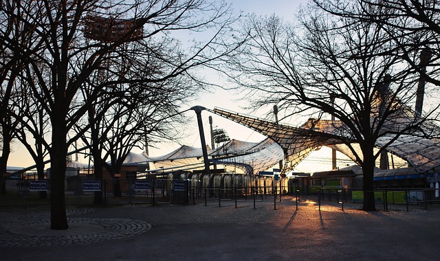 當森林狼試 當森林狼試