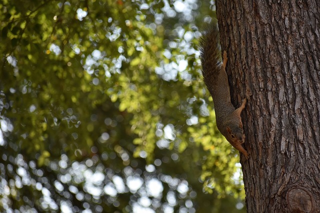 战都是通往 战都是通往