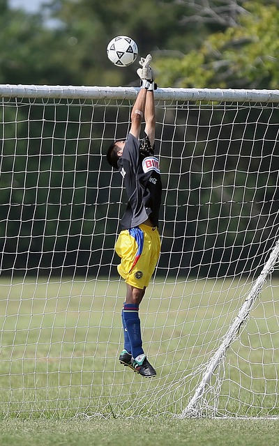 的消息给予 的消息给予