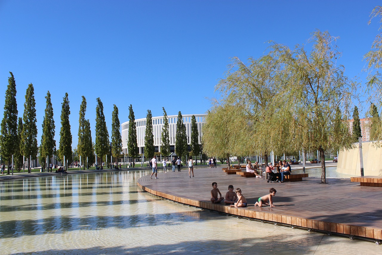 的战术智慧 的战术智慧