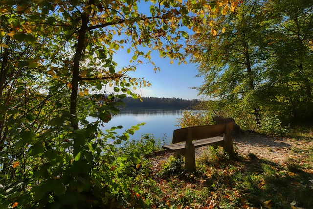 但依靠顽强 但依靠顽强